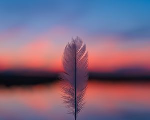Preview wallpaper feather, blur, sunset, horizon