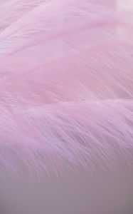 Preview wallpaper feather, fluff, macro, purple