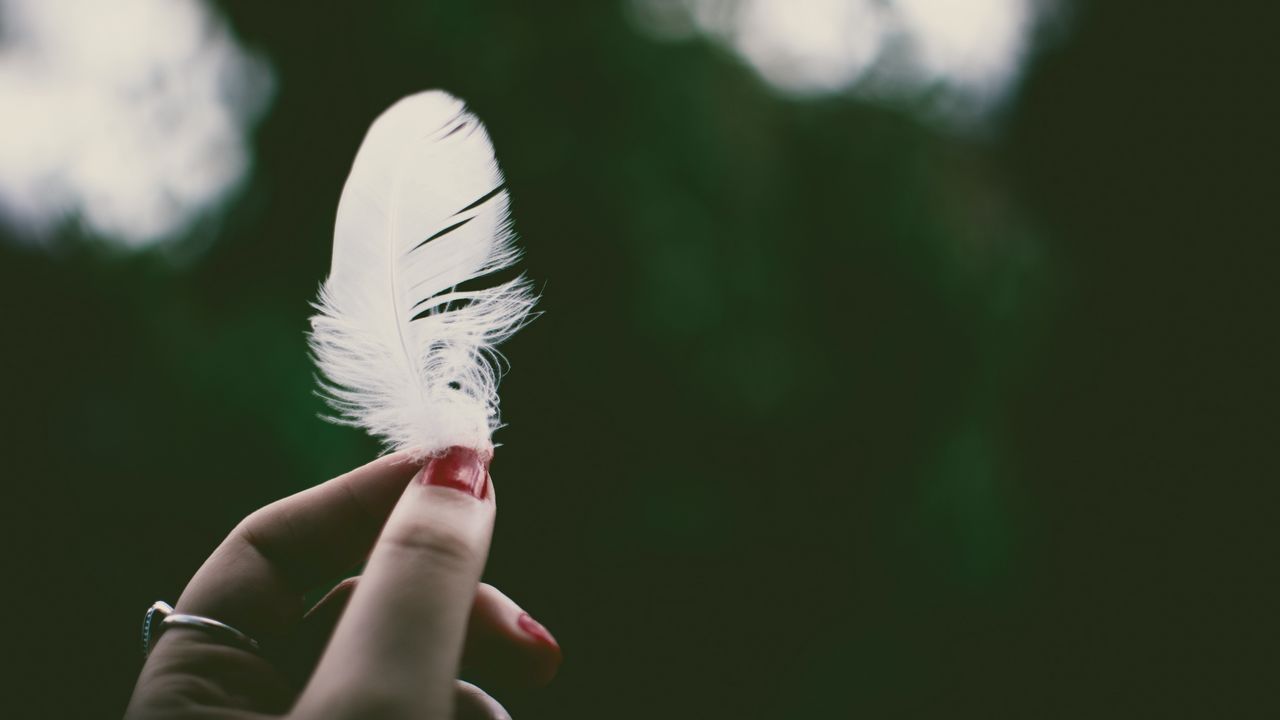 Wallpaper feather, hand, lightness, fingers