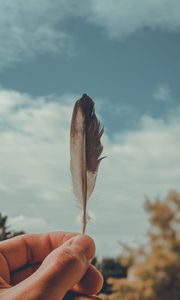 Preview wallpaper feather, macro, hand, focus