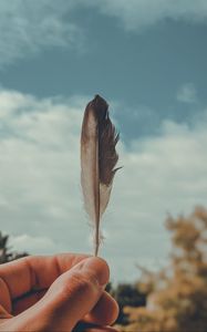 Preview wallpaper feather, macro, hand, focus