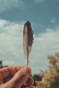 Preview wallpaper feather, macro, hand, focus