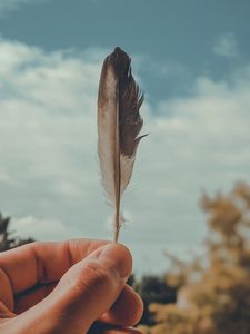 Preview wallpaper feather, macro, hand, focus