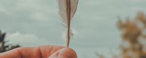 Preview wallpaper feather, macro, hand, focus