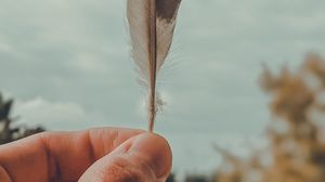 Preview wallpaper feather, macro, hand, focus