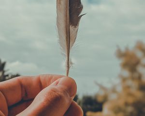 Preview wallpaper feather, macro, hand, focus