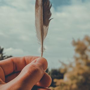 Preview wallpaper feather, macro, hand, focus