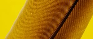 Preview wallpaper feather, macro, lines, stripes