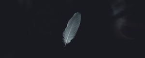 Preview wallpaper feather, minimalism, bw
