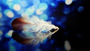 Preview wallpaper feather, reflections, close-up