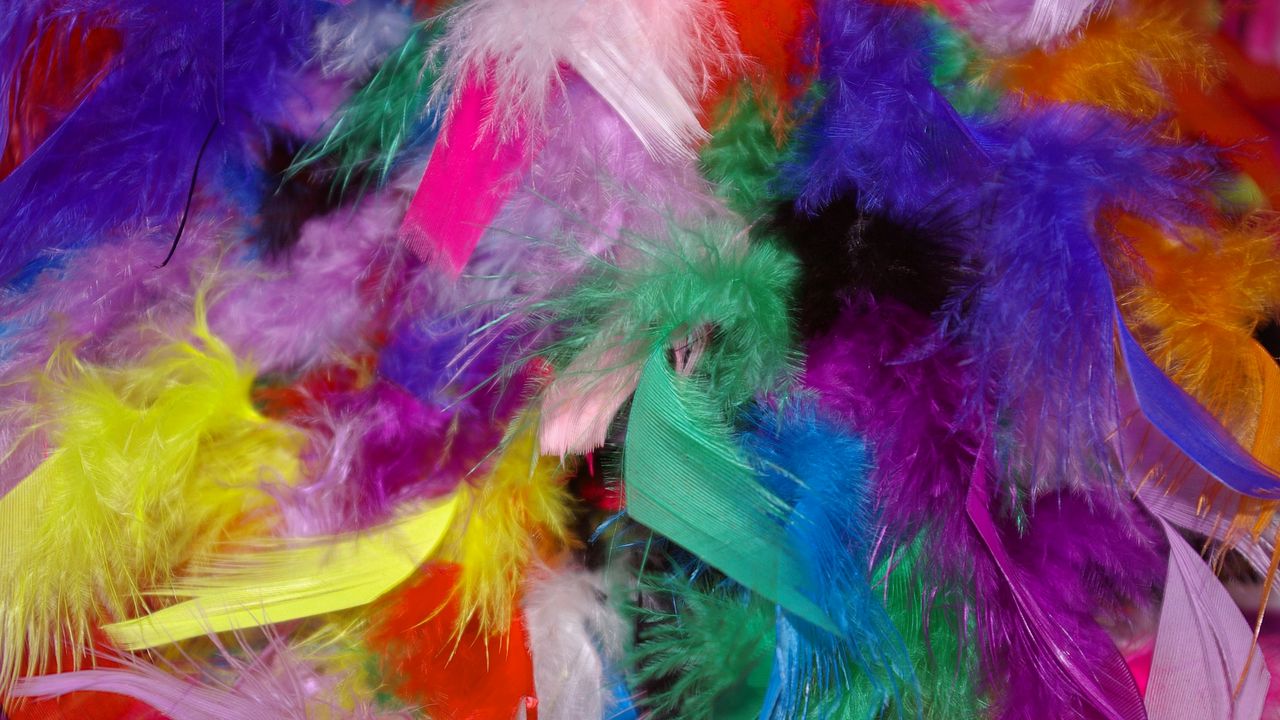 Wallpaper feathers, background, colorful hd, picture, image
