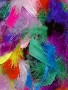 Preview wallpaper feathers, background, colorful