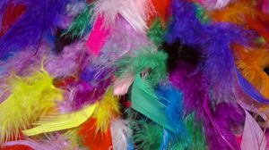 Preview wallpaper feathers, background, colorful