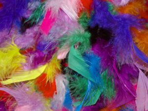 Preview wallpaper feathers, background, colorful