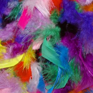 Preview wallpaper feathers, background, colorful