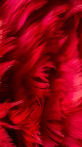 Preview wallpaper feathers, background, red, texture