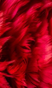 Preview wallpaper feathers, background, red, texture
