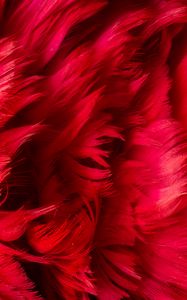 Preview wallpaper feathers, background, red, texture