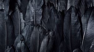 Preview wallpaper feathers, black, dark