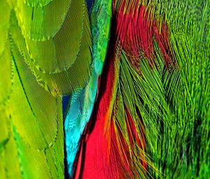 Preview wallpaper feathers, colorful, bright, iridescent, colors