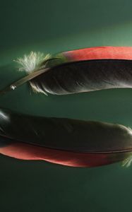 Preview wallpaper feathers, couple, shadow, shape