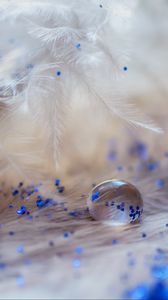 Preview wallpaper feathers, drops, glitter, macro, decoration