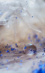 Preview wallpaper feathers, drops, glitter, macro, decoration