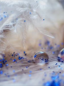 Preview wallpaper feathers, drops, glitter, macro, decoration