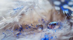 Preview wallpaper feathers, drops, glitter, macro, decoration