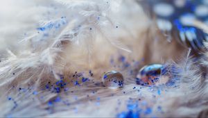 Preview wallpaper feathers, drops, glitter, macro, decoration