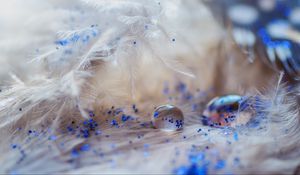 Preview wallpaper feathers, drops, glitter, macro, decoration