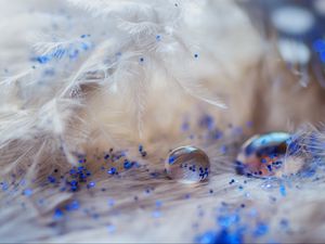 Preview wallpaper feathers, drops, glitter, macro, decoration