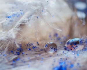 Preview wallpaper feathers, drops, glitter, macro, decoration