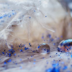 Preview wallpaper feathers, drops, glitter, macro, decoration