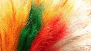 Preview wallpaper feathers, fur, colorful