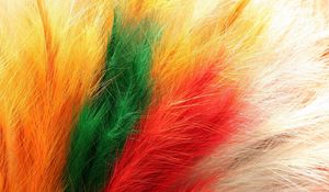 Preview wallpaper feathers, fur, colorful