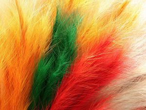 Preview wallpaper feathers, fur, colorful