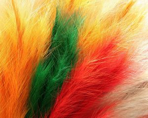 Preview wallpaper feathers, fur, colorful