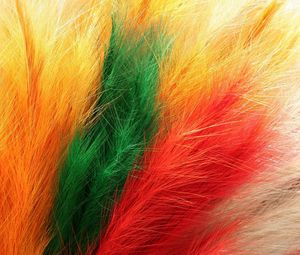 Preview wallpaper feathers, fur, colorful