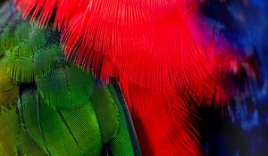 Preview wallpaper feathers, green, red, bird