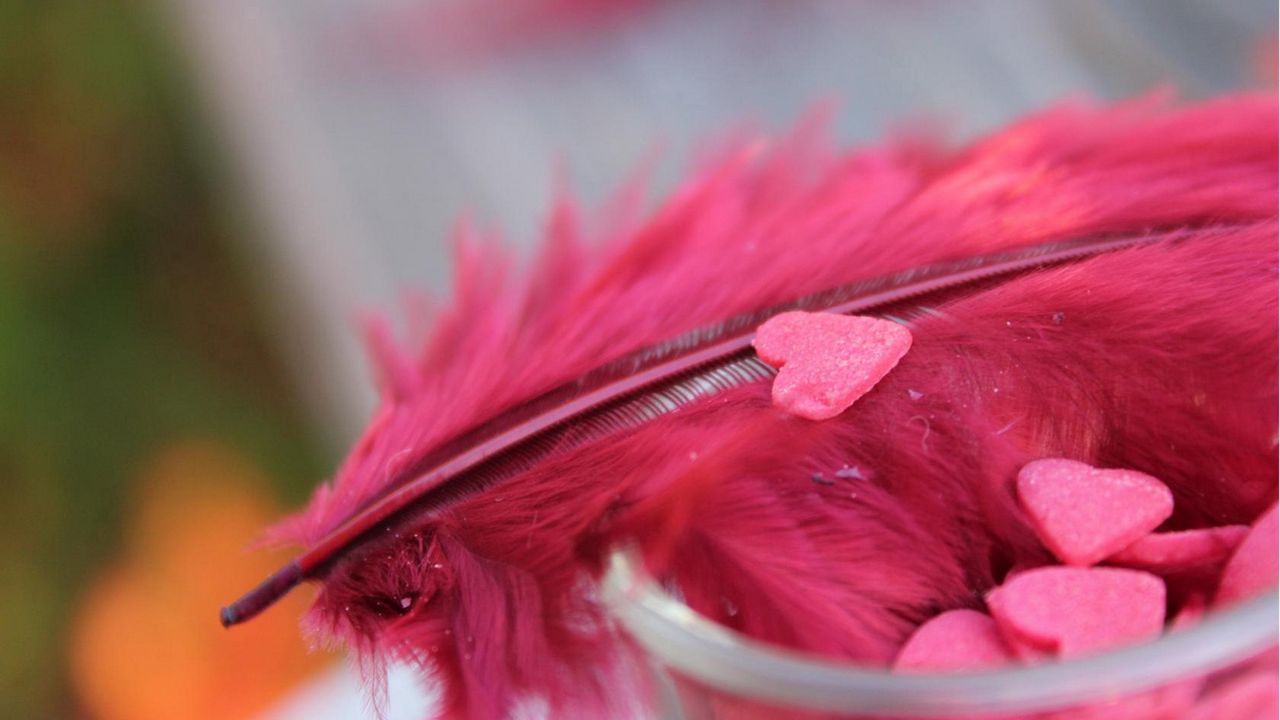 Wallpaper feathers, heart, red, bright