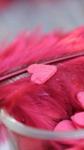 Preview wallpaper feathers, heart, red, bright