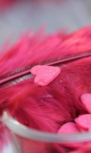 Preview wallpaper feathers, heart, red, bright