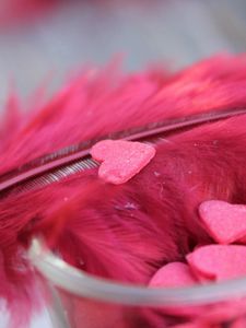 Preview wallpaper feathers, heart, red, bright