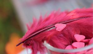 Preview wallpaper feathers, heart, red, bright