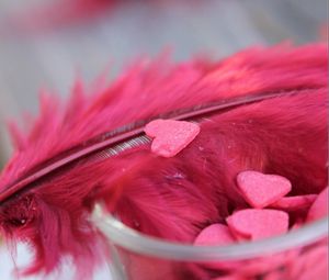 Preview wallpaper feathers, heart, red, bright