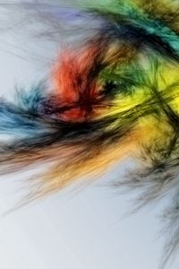 Preview wallpaper feathers, lines, multi-colored, background, brush
