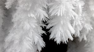 Preview wallpaper frost, macro, black and white