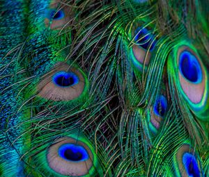 Preview wallpaper feathers, peacock, macro, beautiful, pattern