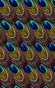 Preview wallpaper feathers, peacock, patterns, texture